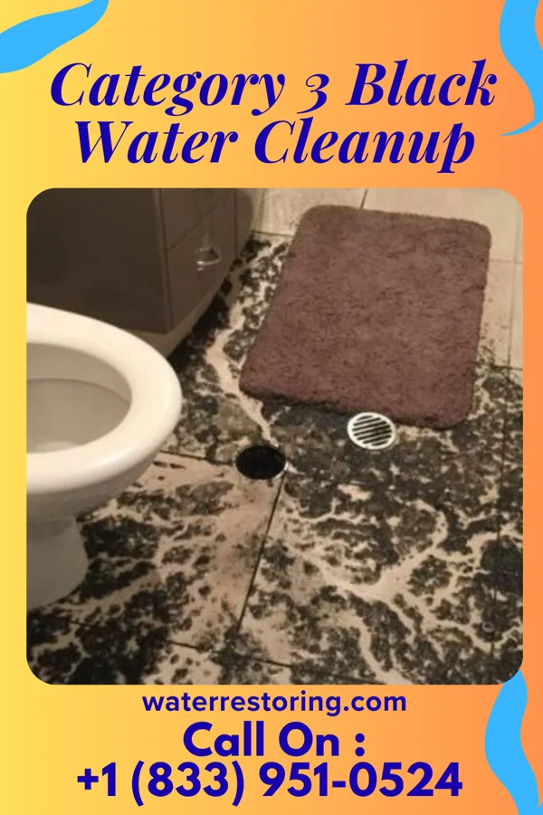 Category 3 Black Water Cleanup in Abram, TX