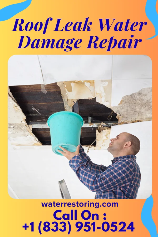 Roof Leak Water Damage Repair in Abram, TX